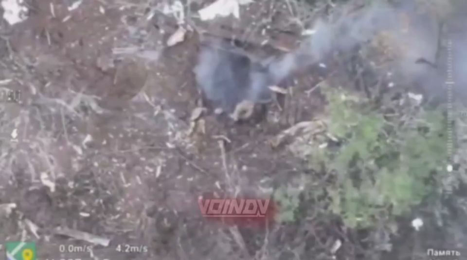 ���� �� ����� ������� ���� �� ��������� ����� � ������ ����������� ���� ���������� ����������� ������� ��������