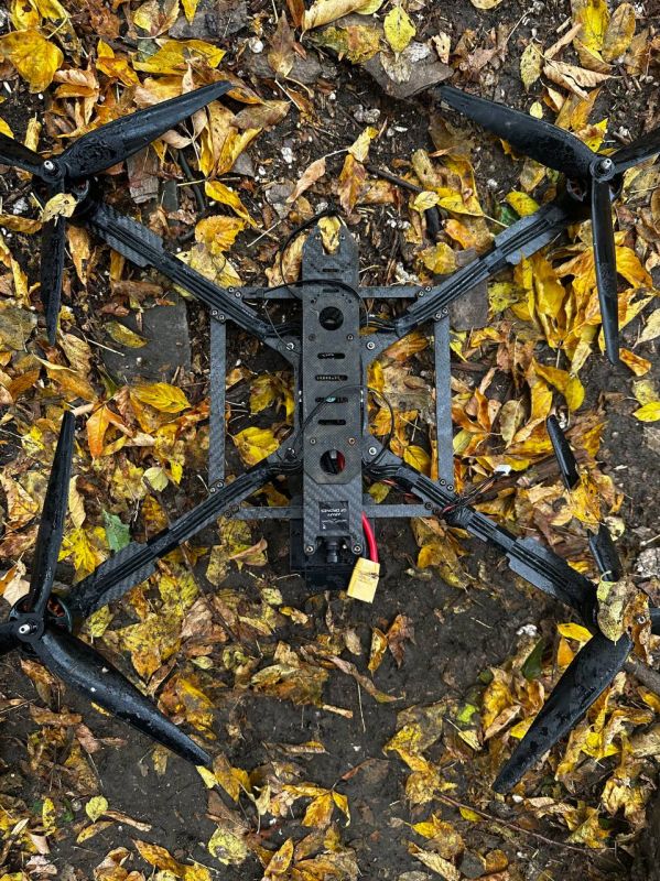 ��� �ARMY OF DRONES�. ����� ���� �� ������ ������� ������� ����������, ��� ��� 13 ������ � �Optic Wire�, �� ���� ����������� �� 20 ����������