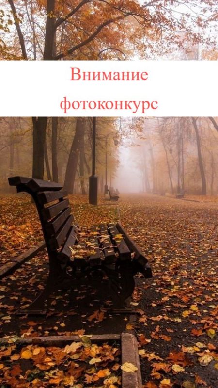 ���� �������� - ���� �������