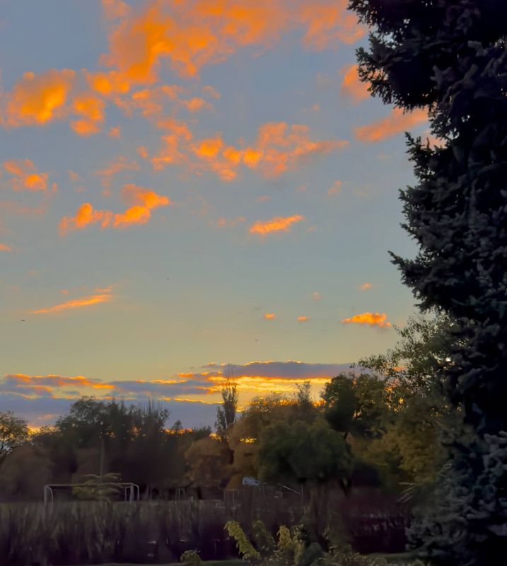 Утро обязательно должно быть добрым и приятным, чтобы весь день прошел как по маслу и решились успешно все дела