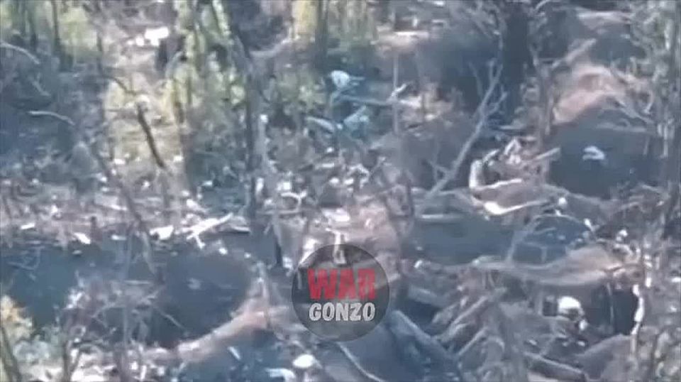 WarGonzo: Покой им только снится – работает 3-я штурмовая 291-го полка