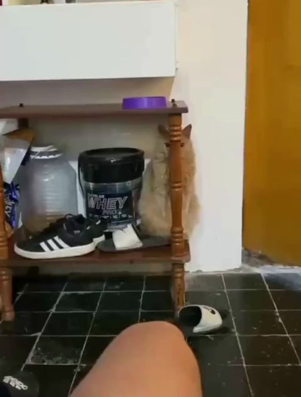 ����� ��������� ���������. ���� �����