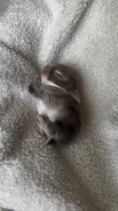 ��� � ����������� ������� ������