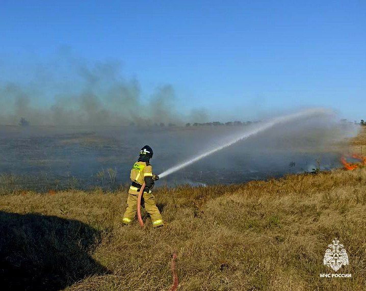 Оперативная информация за сутки