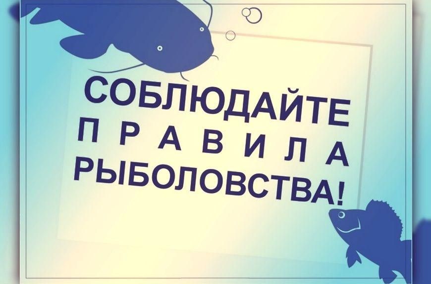 ������� ����������� � ����������� �������