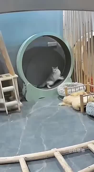 ������ �� ������, ���� ��������� ������� ����