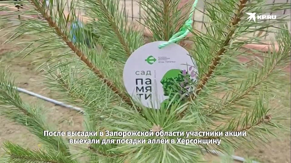 � ����������� ������� �������������� � ����� � ����� ������ � ������� ������������� �����