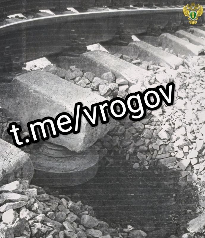 Владимир Рогов: Двух террористов ЗеРейха будут судить на Запорожье