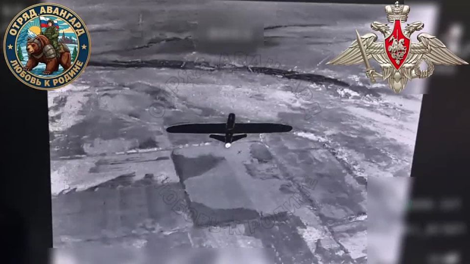 ������ ������������� �������� ������������ ��������� ���� ���������� �������-100� �� ����������� �����������