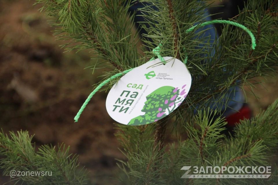 � ���������� �������� ����� �������� �����