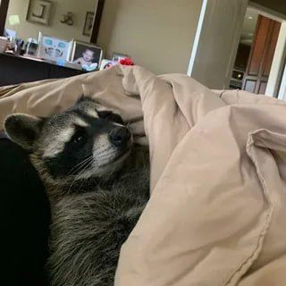 ������ ����, ������! �������� ��� ��� � ��������� ����������!