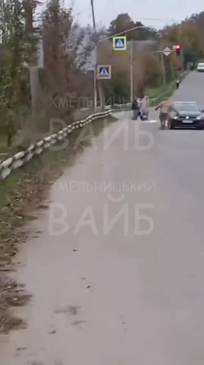 � ����������� ��������� ��� ���������� ������� ���������� ����������� ����������, ���������� �� �����