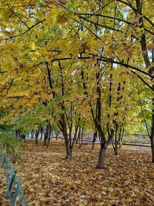 С добрым, весёлым и радостным утром! Желаем чтобы начало этого дня стало для вас особенно удачным и принесло много радостных событий, хороших новостей, приятных сюрпризов, больших успехов