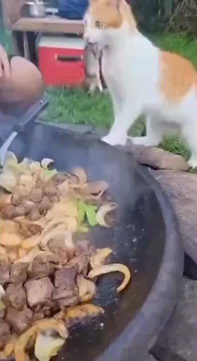 ������� ������ ��������� �� �����������