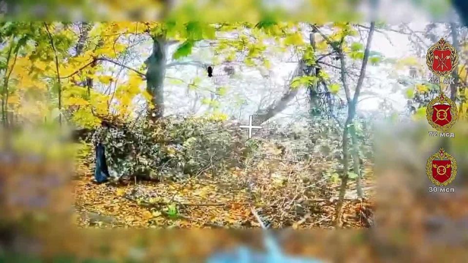������ ���� 30 ��� 44 ���������� ������� ������������ ��� ���, ������������ � ����������