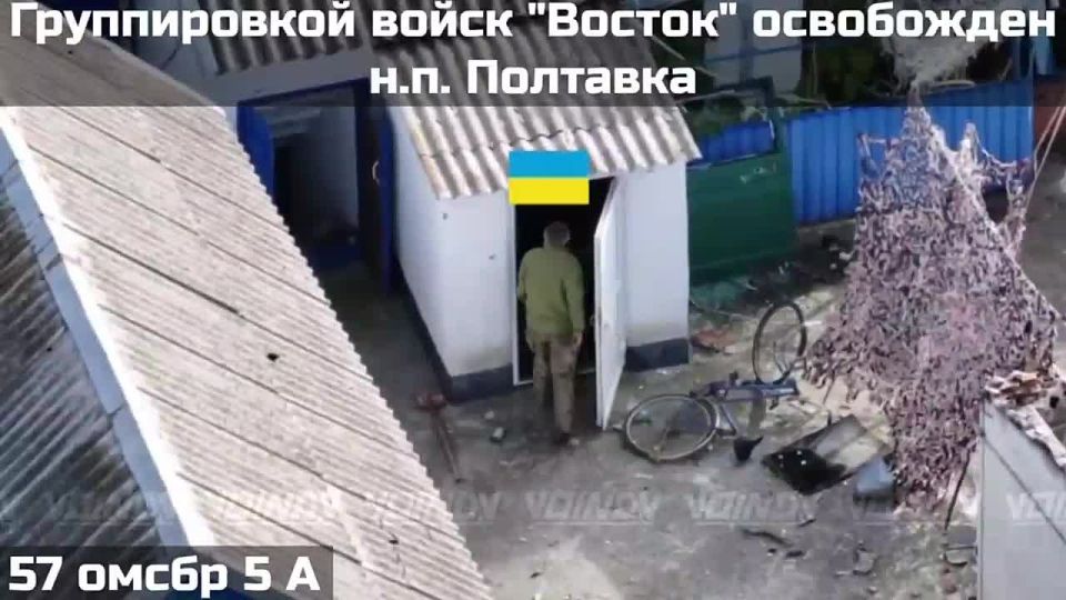 ������� ����������� ������ ����������� ���� �������� � ����������� �������