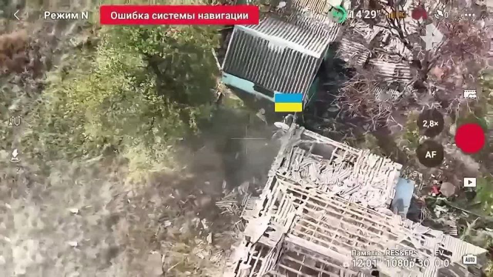 ����� ������������ ����������� ������ �������� � ����������� ������� ������������ ���������� ��