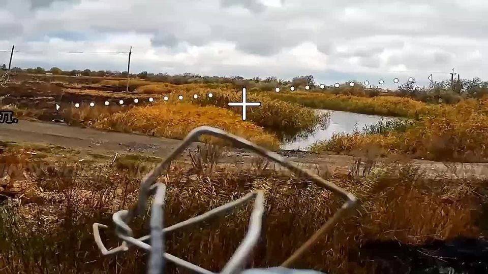 5 ����� ���������� ������������ ������ ��� ��� ���� � ������ �������� ����������� �������