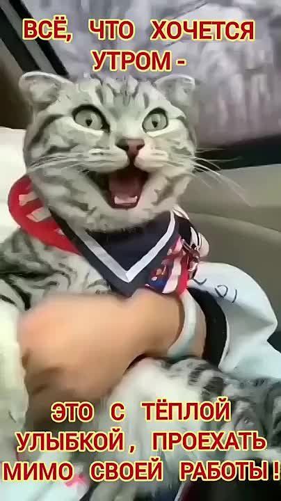 � ��� � ����� ������� ������