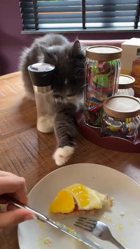 ��� � �������� �����. ������� � ��������� �� ���