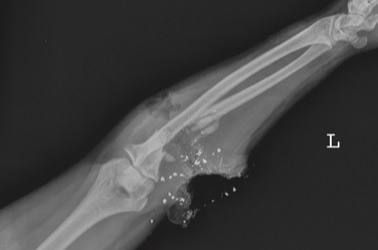 Еженедельная авторская колонка;