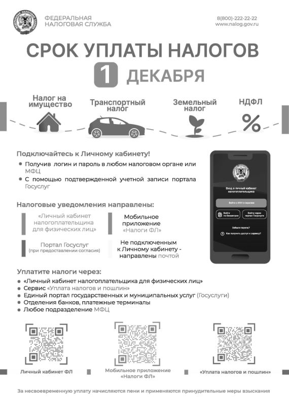 Межрайонная инспекция Федеральной налоговой службы №1 по Запорожской области напоминает о необходимости своевременной уплаты имущественных налогов