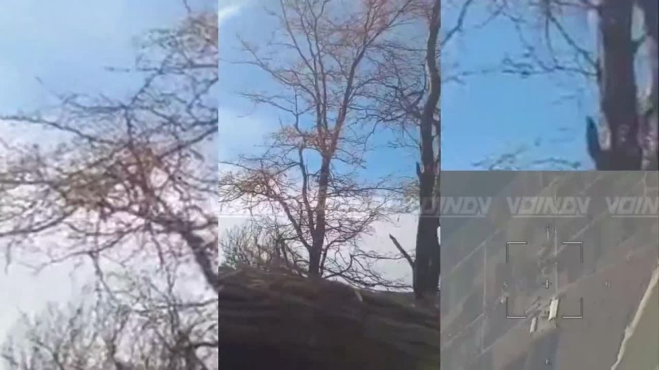 Село Долинка — окрестности Гуляйполя, пока еще Украина