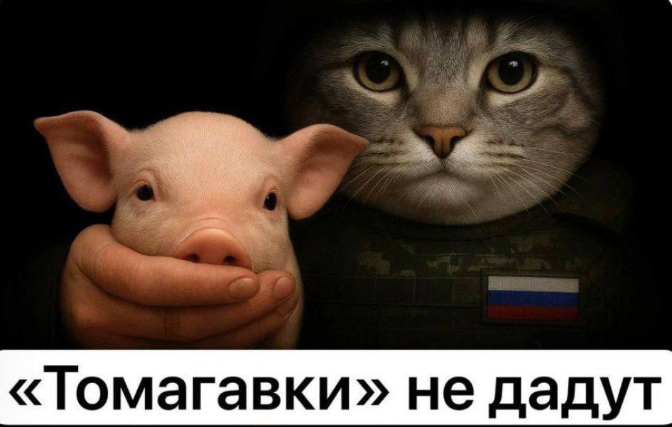 Вот и закончился очередной насыщенный событиями день