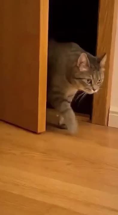 ��� ���� ������� ���� ������� � �����