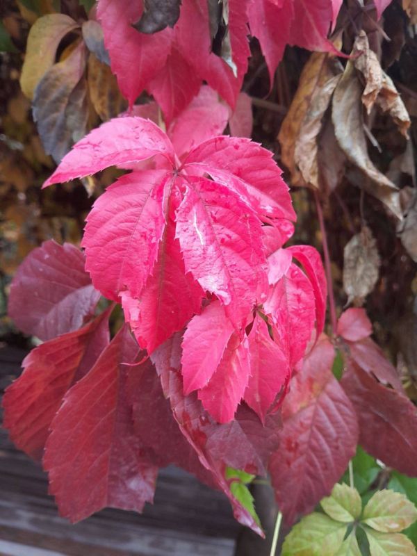 С добрым утром, с наступившим днём!