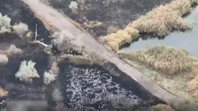 ���� ��������� ����� �� ������������� � ����������� ������� ��������