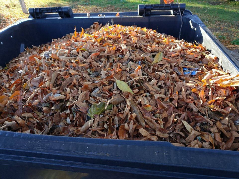 Уважаемые жители Приморского муниципального округа!