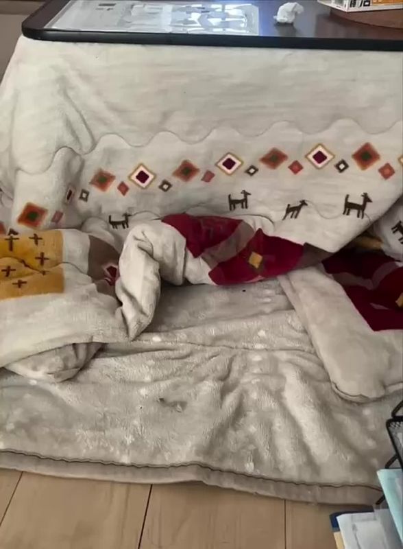 ����� � ��������� �������. ����� ����� ��� �������, � �� ������ �� ��� ��������� � ������ �������