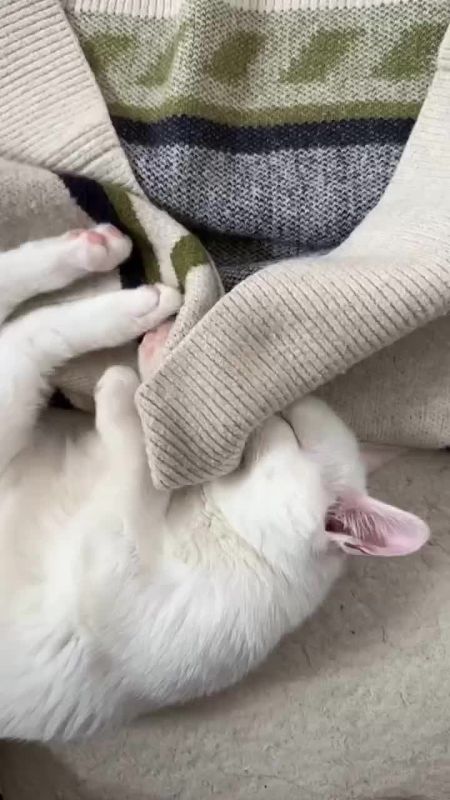 ��� � ����� �����. ���������� ������������ � �����