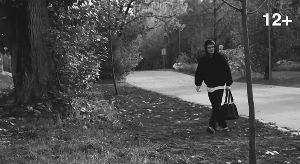 Министерство культуры Запорожской области информирует, что в рамках мероприятий по защите информационного пространства Российской Федерации от распространения идеологии терроризма проводится показ короткометражных...