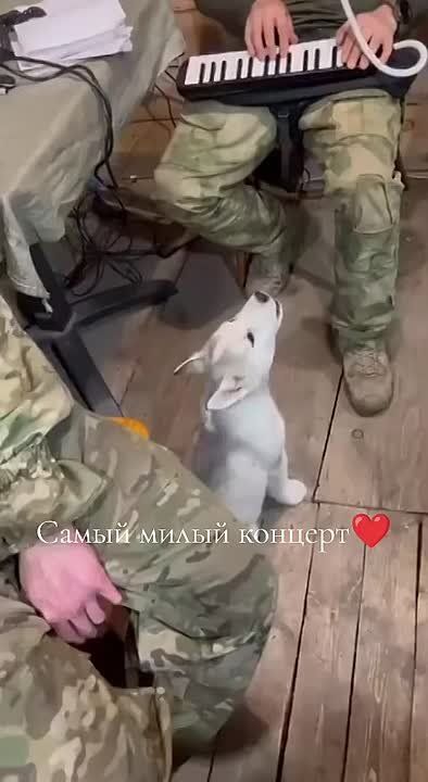 � ��������� ������� ������, ����������� �������!