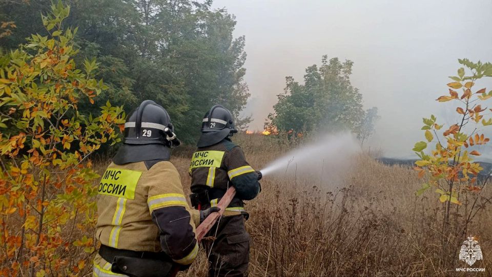 Оперативная информация за сутки