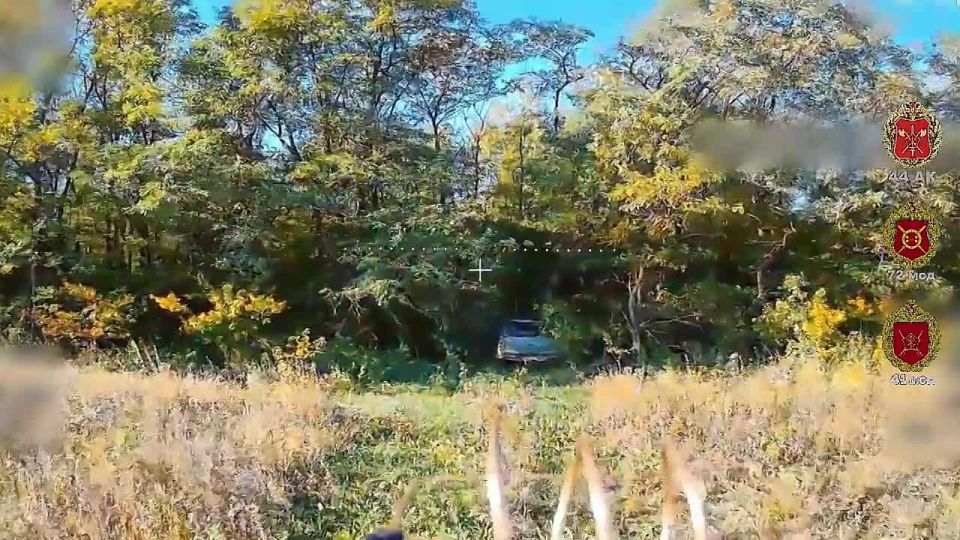 ����� ������ ��� � ���������� ����������� ������� �� ��������� � ������ ������: ��� ������ � �������� ����������� ���� 41 ��� 44 ���������� ������� ����������� ���-����� �� �����������