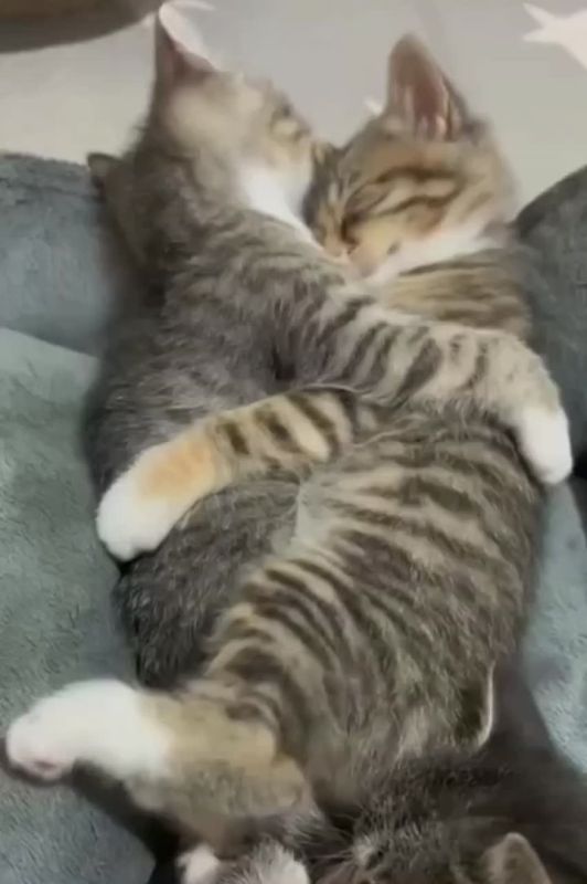 �� �������-�� �����. ������������ � �������� � �����, ������ ����� �� ������