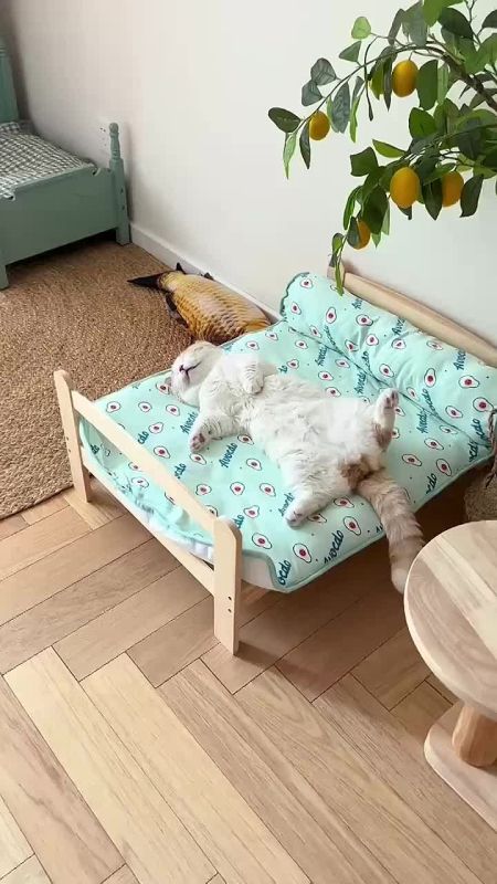 ��� � ����������� ������� ������