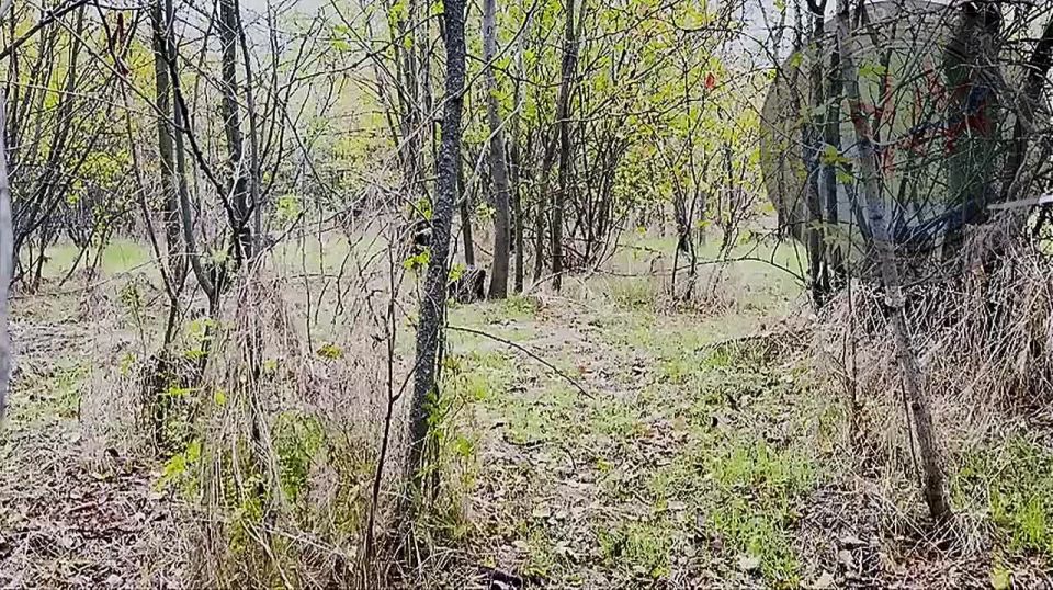 ��������� ������� ���� ����������� ����� ������ ���������� ������� �������� ����� �� �������� ���������� �� ����������� �����������