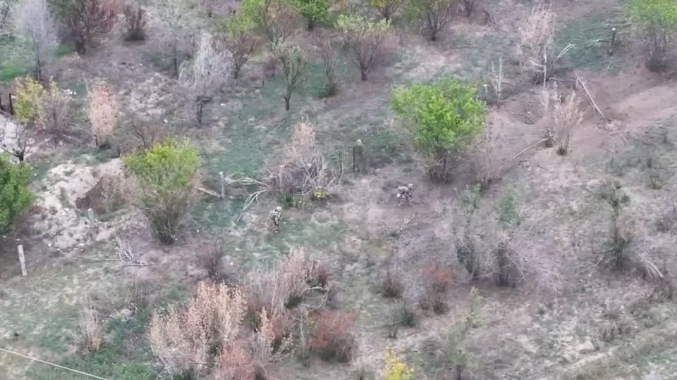 �������������� ���������� ���������� ������ ������ ��� � ����������� �������