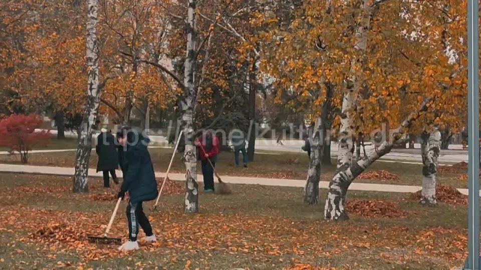 В преддверии Дня освобождения Васильевского района от немецко-фашистских захватчиков на территории ДК "Горняк" прошёл субботник!