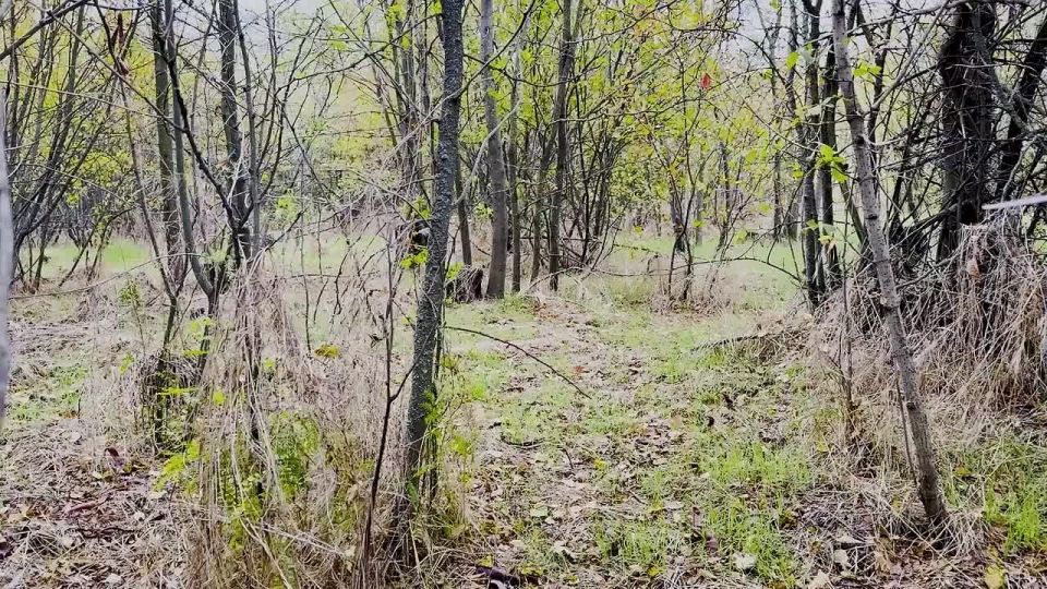 ��������� ������� ���� ����������� ����� ������ ���������� ������� �������� ����� �� �������� ��� �� ����������� �����������