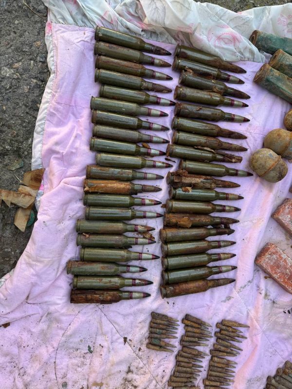 Схрон с боеприпасами обнаружили в Васильевке