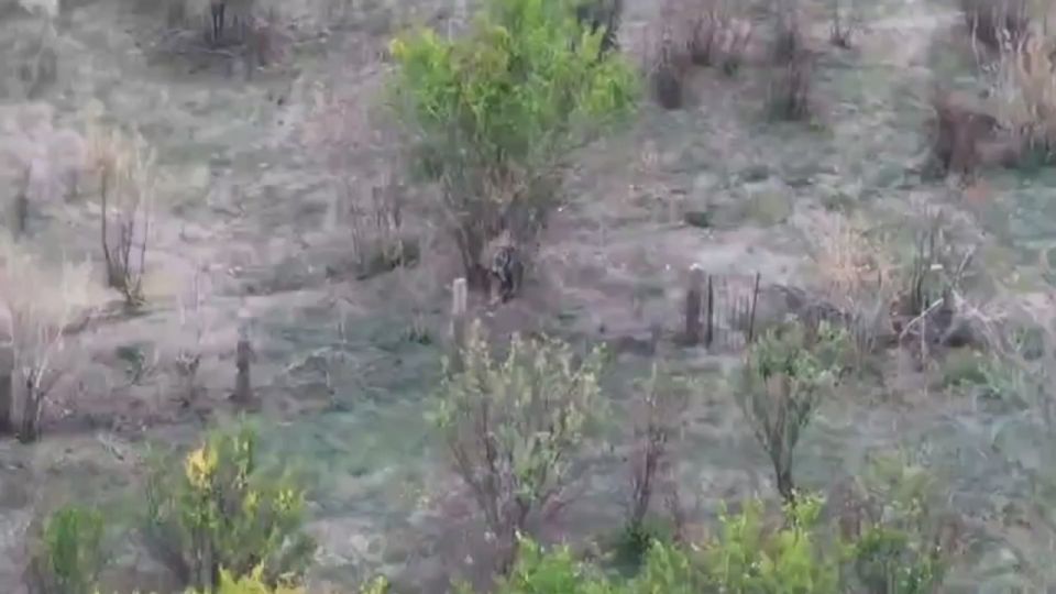 ������� FPV-������ �������������� ����������� ������� ������� ��� ����������� �������