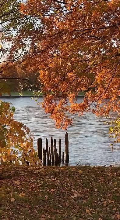 Друзья!. Любите каждый день и каждую минуту своей жизни