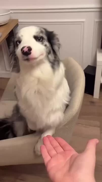 Доброе утро, друзья!. Начинаем новый рабочий день с позитивными мыслями и бодрым настроением! Сегодня пятница! Пусть она будет удачной! И пусть сегодня все получается)) Подписывайтесь на: Вести Приморск