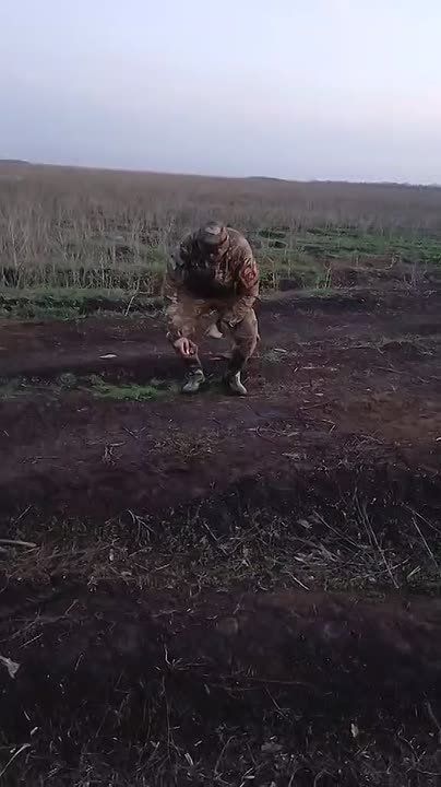 � ���������, ����������� �������!