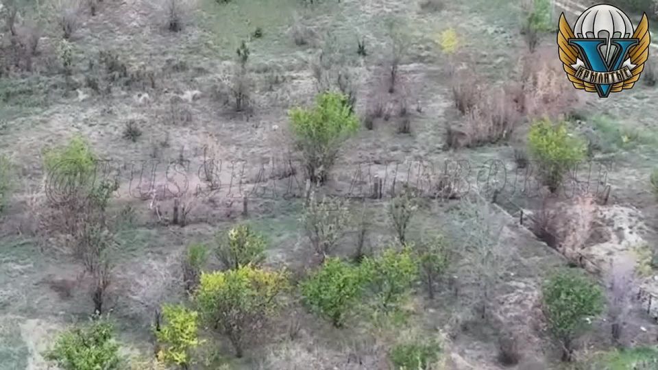 ����� ������ ������ ���������� ������